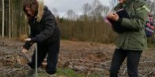 Les_Victorias-225×300 Arboretums : prospection de parcelles à Beauraing