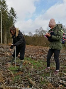 Arboretums : prospection de parcelles à Beauraing