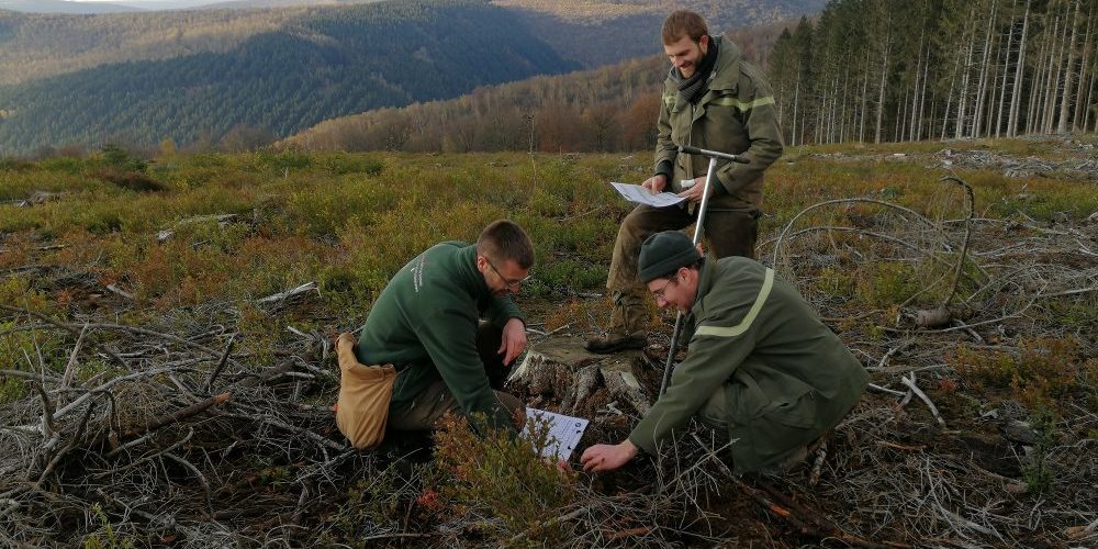 ONF-SRFB-ILOTS-DAVENIR-e1584997249904 Adaptation des forêts aux changements climatiques dans le Grand Est (France)