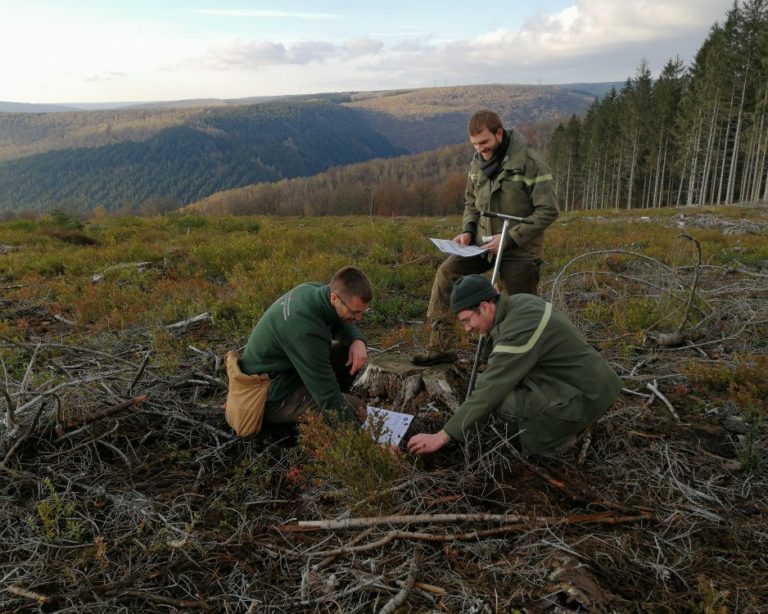 Adaptation des forêts aux changements climatiques dans le Grand Est (France)