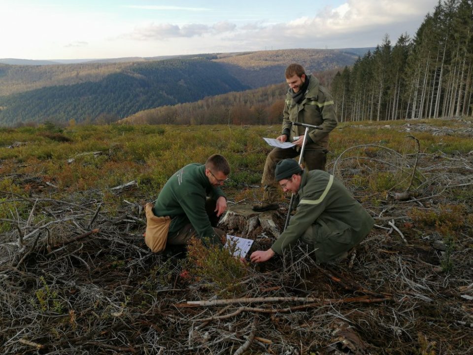 ONF-SRFB-ILOTS-DAVENIR-e1584997249904 Adaptation des forêts aux changements climatiques dans le Grand Est (France)