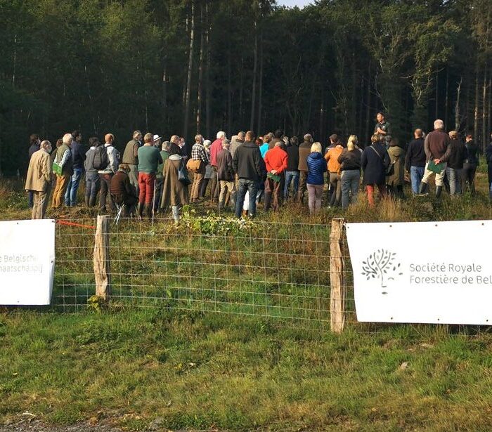 Devenez mécène de Trees For Future pour sauver les forêts belges
