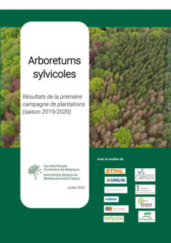 Rapport d'activité Arboretums sylvicoles 2019-2020 | Trees For Future