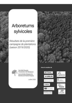 Rapport d'activité Arboretums sylvicoles 2019-2020 | Trees For Future