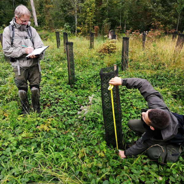 Les nombreux partenaires de Trees For Future font vivre se projet