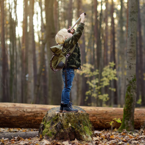 Les forêts de demain, c'est grâce à vos dons d'aujourd'hui que nous les sauvons