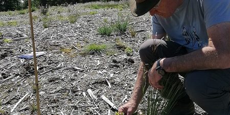 lente-monitoring 2022