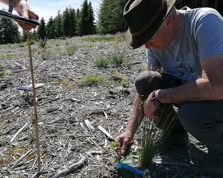 spring monitoring