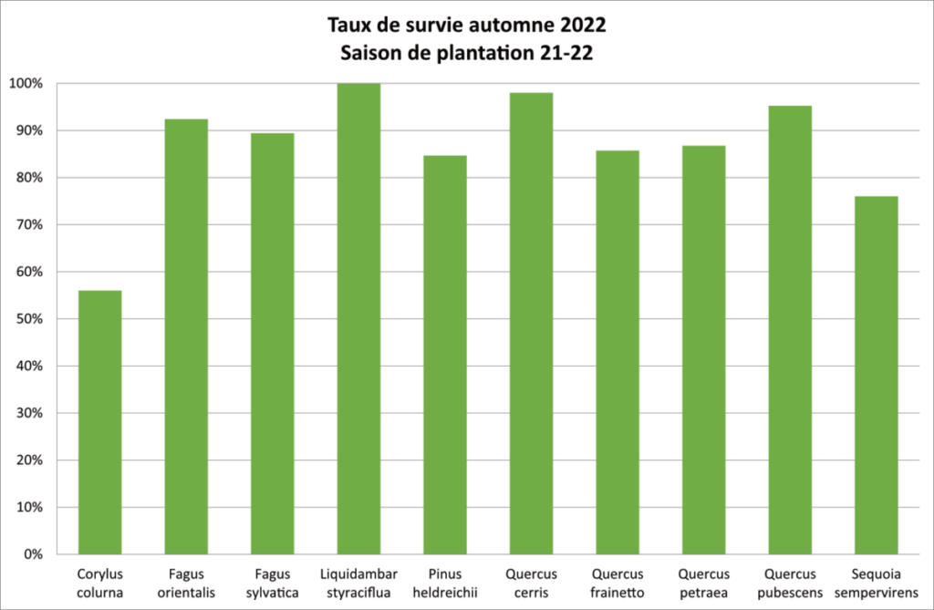 Figure 6 : Taux de survie en automne 2022 des essences plantées en 2021-2022.