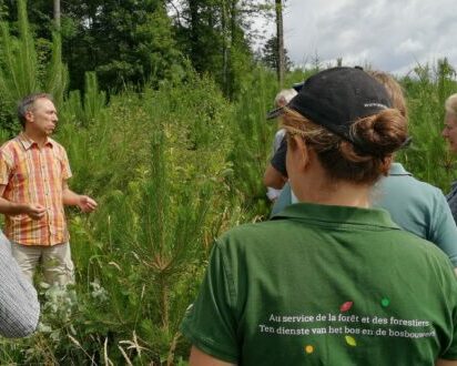 trees-for-future-hamoir-750×330 Trees for Future sur l'arboretum de Hamoir et arboretum historique de Seraing