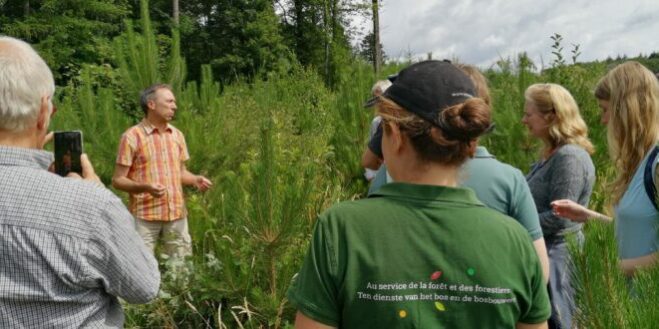 trees-for-future-hamoir-750×330 Trees for Future sur l'arboretum de Hamoir et arboretum historique de Seraing