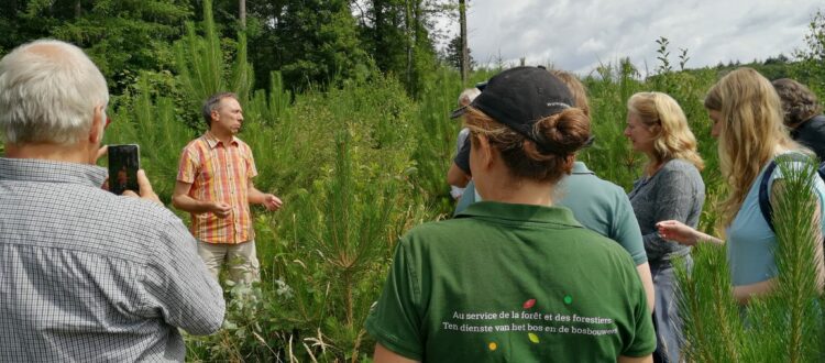 trees-for-future-hamoir-750×330 Trees for Future sur l'arboretum de Hamoir et arboretum historique de Seraing