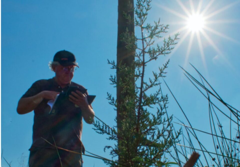 Capture d’écran 2025-07-18 113221