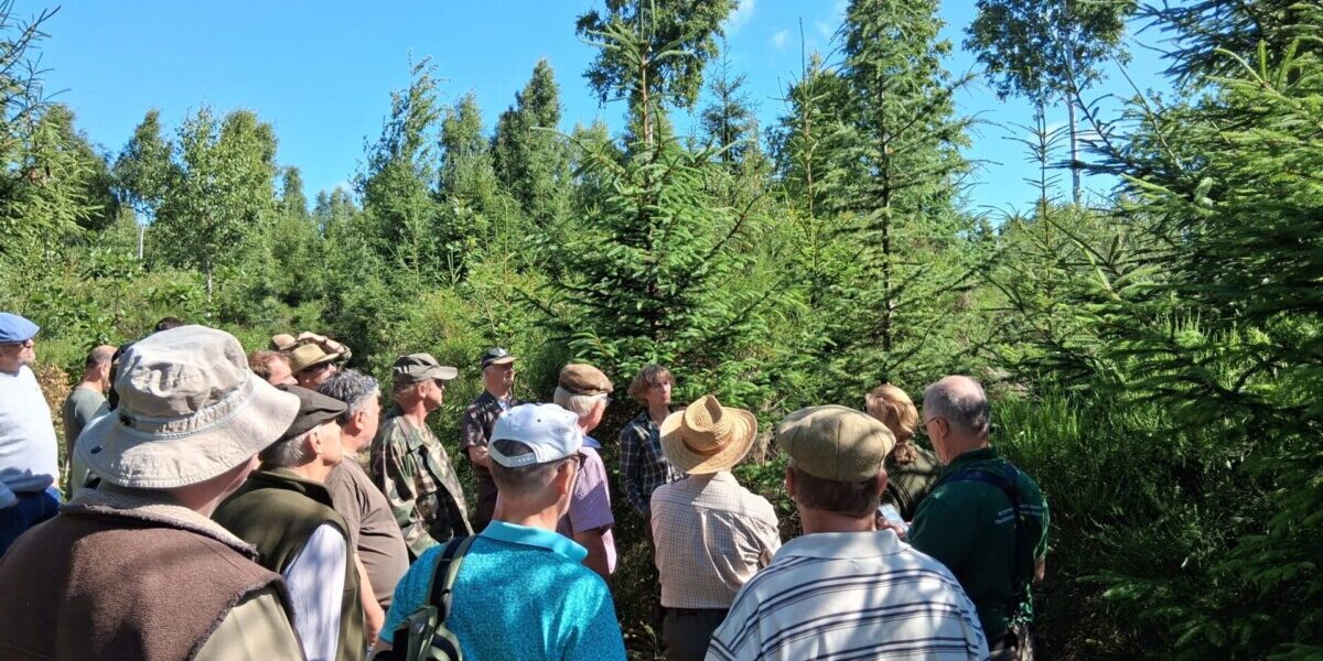 Journée cèdre_20250623 (4)