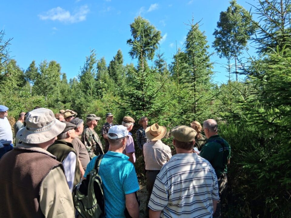 Journée cèdre_20250623 (4)
