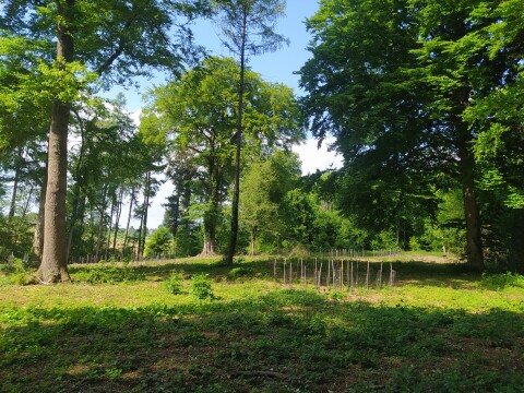 News202505_Campagne de printemps (1)