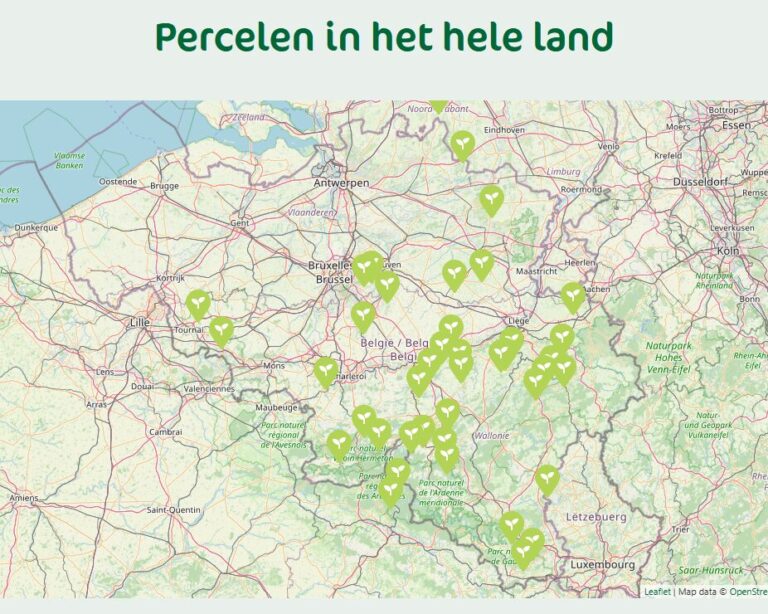 mappercelenTFF