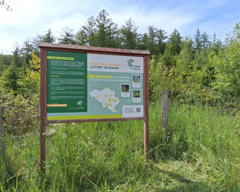 panneauTFFHamoir